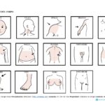 ROUTINE PER LA DOCCIA